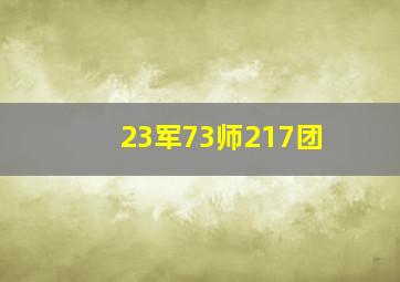 23军73师217团