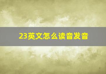 23英文怎么读音发音