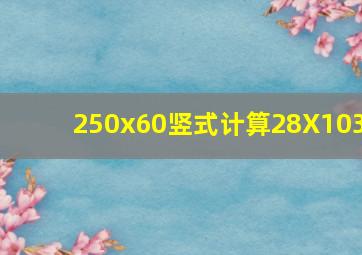 250x60竖式计算28X103