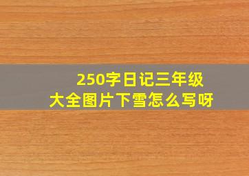 250字日记三年级大全图片下雪怎么写呀