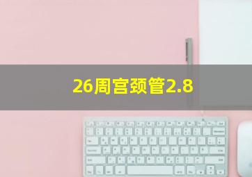 26周宫颈管2.8