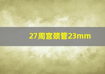 27周宫颈管23mm