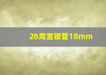 28周宫颈管18mm