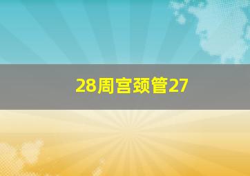 28周宫颈管27