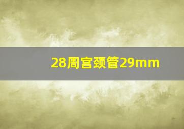 28周宫颈管29mm