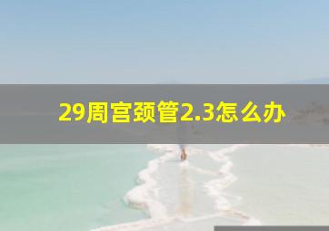 29周宫颈管2.3怎么办