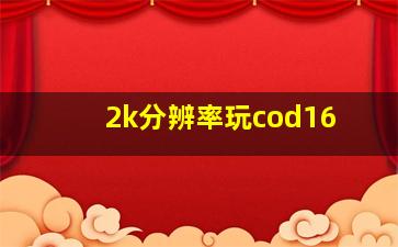 2k分辨率玩cod16