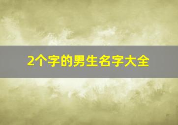 2个字的男生名字大全