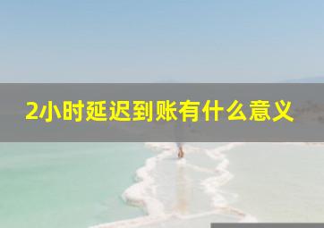 2小时延迟到账有什么意义