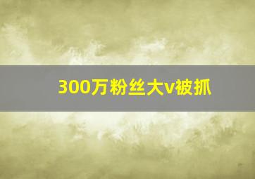 300万粉丝大v被抓