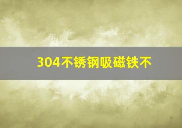 304不锈钢吸磁铁不