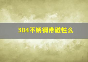 304不锈钢带磁性么