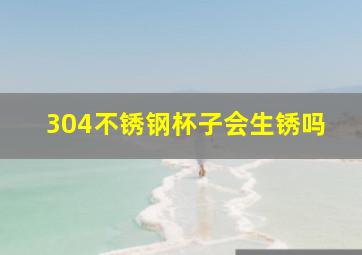 304不锈钢杯子会生锈吗