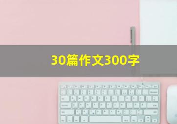 30篇作文300字