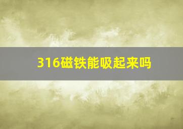 316磁铁能吸起来吗