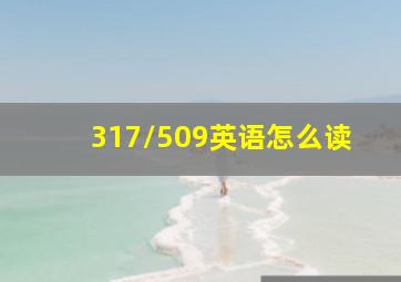 317/509英语怎么读