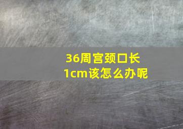 36周宫颈口长1cm该怎么办呢