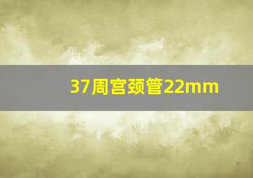 37周宫颈管22mm