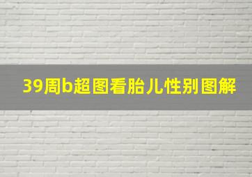 39周b超图看胎儿性别图解