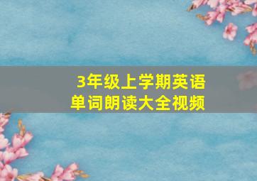 3年级上学期英语单词朗读大全视频