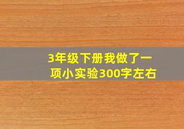 3年级下册我做了一项小实验300字左右