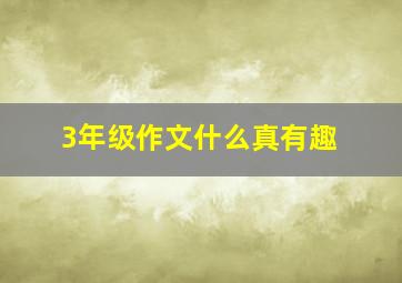 3年级作文什么真有趣