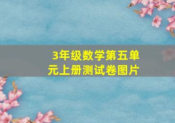 3年级数学第五单元上册测试卷图片