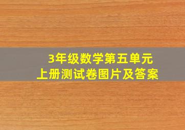 3年级数学第五单元上册测试卷图片及答案