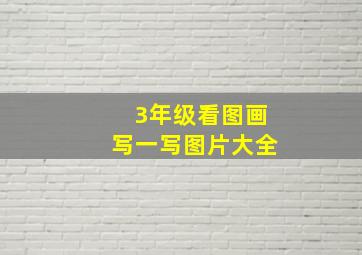 3年级看图画写一写图片大全