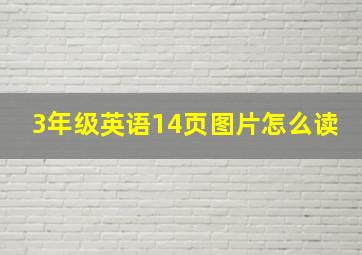 3年级英语14页图片怎么读