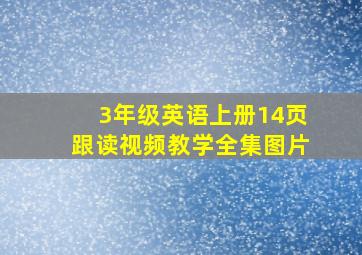 3年级英语上册14页跟读视频教学全集图片