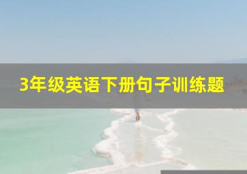 3年级英语下册句子训练题