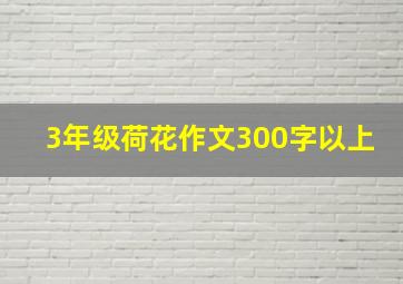 3年级荷花作文300字以上