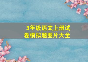 3年级语文上册试卷模拟题图片大全