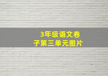 3年级语文卷子第三单元图片