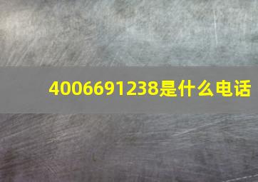 4006691238是什么电话