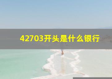 42703开头是什么银行