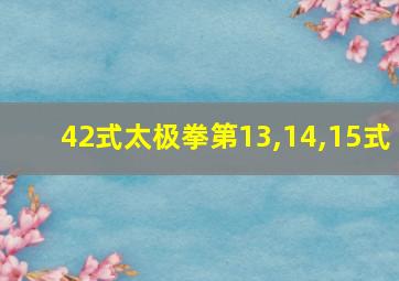 42式太极拳第13,14,15式