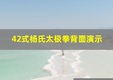 42式杨氏太极拳背面演示