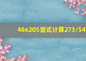 46x205竖式计算273/54