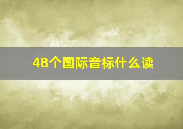 48个国际音标什么读