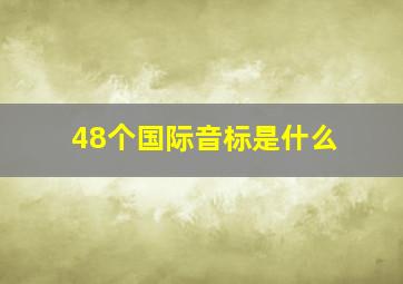 48个国际音标是什么