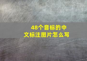 48个音标的中文标注图片怎么写