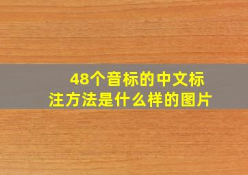 48个音标的中文标注方法是什么样的图片