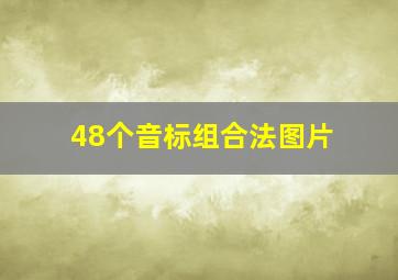 48个音标组合法图片