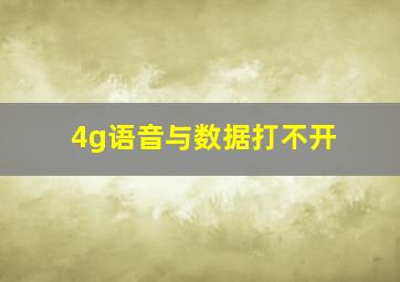 4g语音与数据打不开