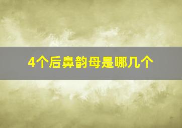 4个后鼻韵母是哪几个