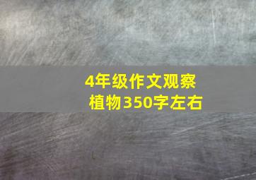 4年级作文观察植物350字左右