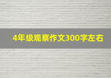 4年级观察作文300字左右