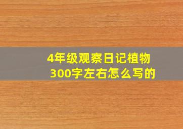 4年级观察日记植物300字左右怎么写的